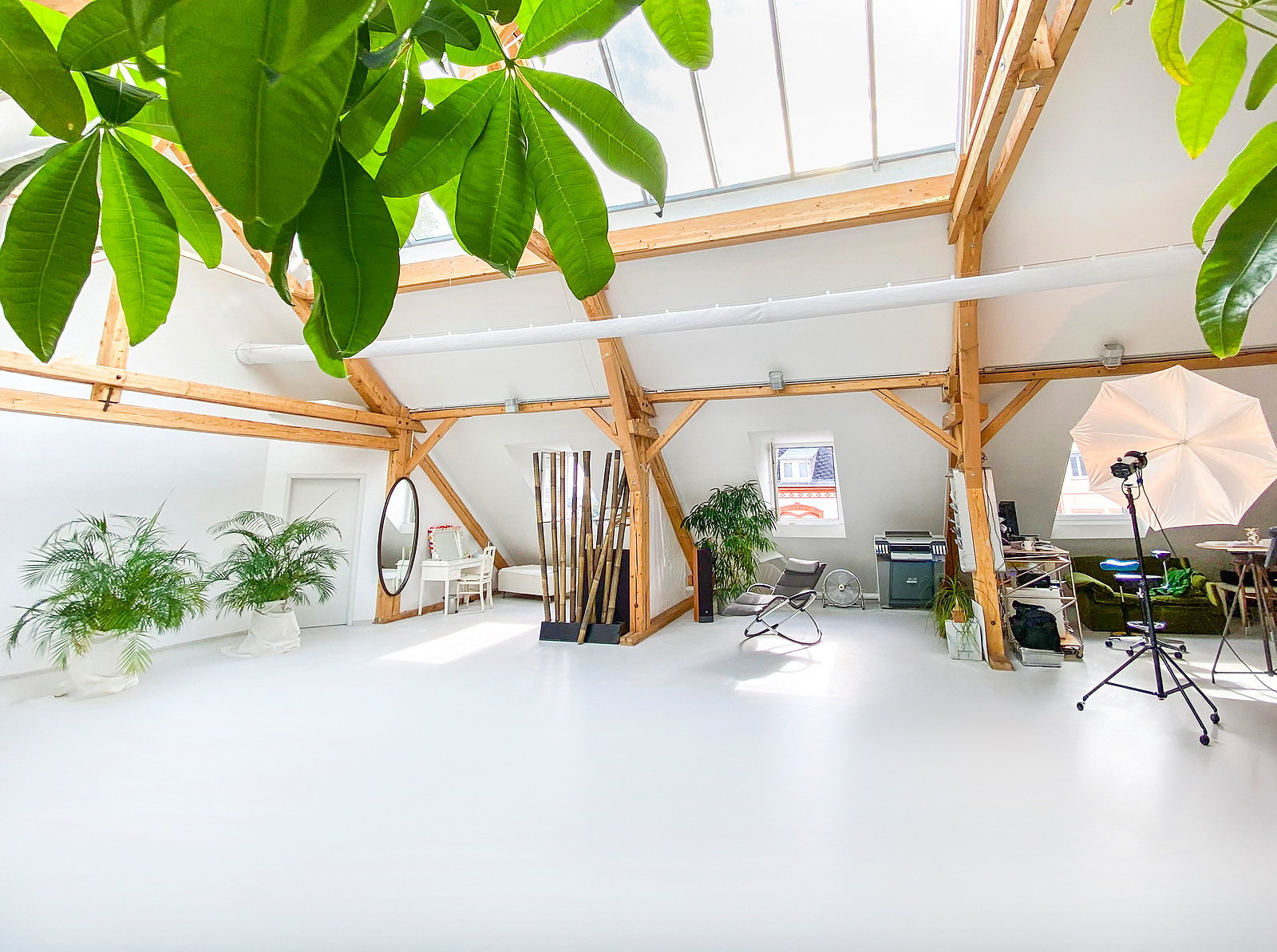 Das Tageslicht-Fotostudio von fotostudio9 in Wiesbaden, heller Studioraum mit Dachfenstern, Holzbalken und Pflanzen