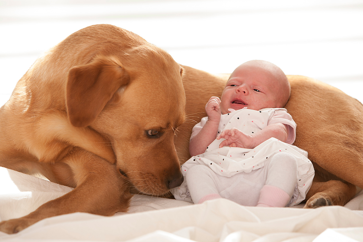 Baby & Kinder